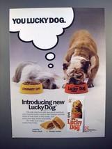 1986 Purina Lucky Dog Dog Food Ad - Bulldog - £14.58 GBP