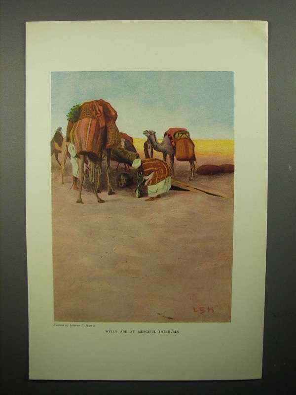 Primary image for 1908 Illustration by Lawren S. Harris - Camels, Desert