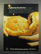 1972 Sunkist Navel Orange Ad - California Favorite Sun - $18.49