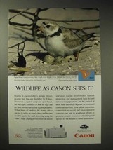 1997 Canon CLC1000 Color Copier Ad - Piping Plover - £14.54 GBP