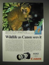 1989 Canon EOS 1 Camera Ad - Golden Bamboo Lemur - $18.49