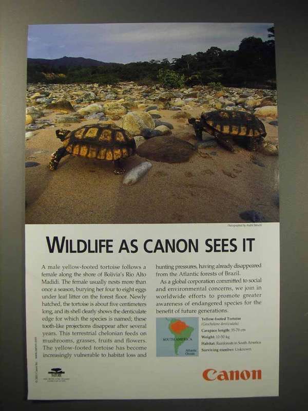 Primary image for 2001 Canon Ad - Yellow-footed Tortoise