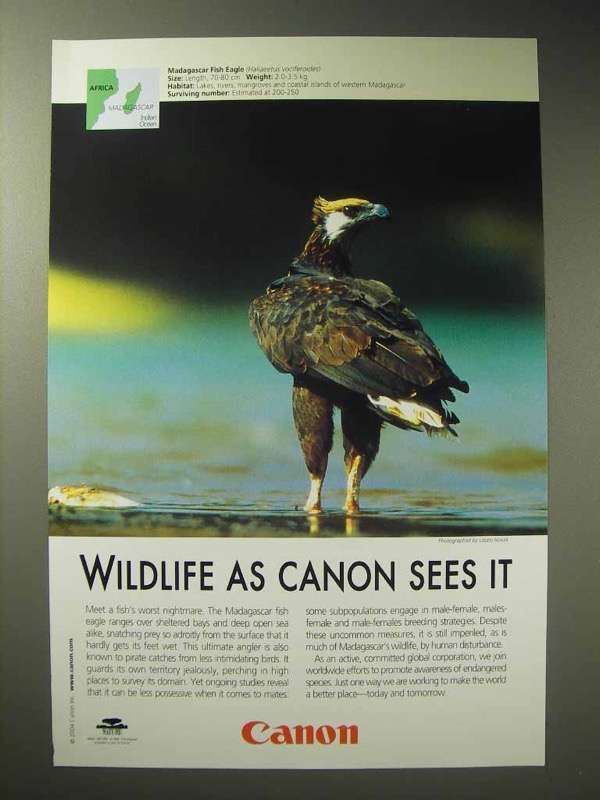 2004 Canon Ad - Madagascar Fish Eagle - $18.49