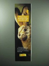 1995 Steiff Stuffed Animal Rabbit Ad - A Hare More - £14.74 GBP