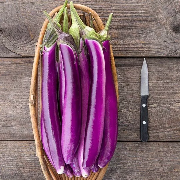 Semilir 150 Long Purple Eggplant Vegetable Suppliers - £7.39 GBP