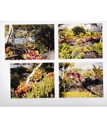 The Flowers of Hawaii - Color Film Photography Lot - 1980&#39;s Images - $24.68 CAD