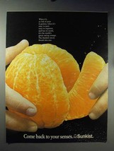 1971 Sunkist Orange Ad - Come Back to Your Senses - $18.49