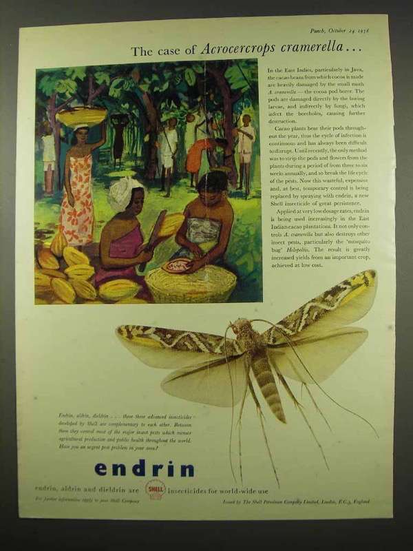 1956 Shell Endrin Ad - Case of Acrocercrops Cramerella - £14.60 GBP