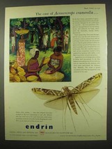 1956 Shell Endrin Ad - Case of Acrocercrops Cramerella - £14.87 GBP