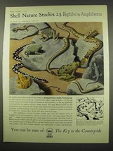 1956 Shell Oil Ad - Art by Tristram Hillier - Reptiles - £14.50 GBP