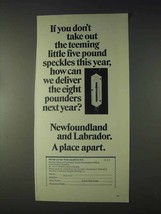 1969 Newfoundland and Labrador Canada Tourism Ad - If You Don&#39;t Take Out - £14.54 GBP
