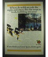 1984 Spain Tourism Ad - Wildcats Rule the Night - £14.73 GBP