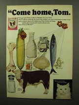 1964 Puss &#39;n Boots Pamper Cat Food Ad - Come Home - £14.78 GBP