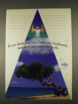 1996 Aruba Tourism Ad - Trees Bend Over Backwards - £14.57 GBP