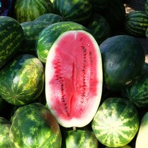 Charleston Grey Watermelon Seeds - Organic &amp; Non Gmo Watermelon Seeds - Heirloom - £2.10 GBP