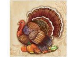 Thanksgiving Splendor - Beverage Napkins (16ct) - £1.57 GBP