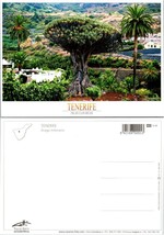 Spain Tenerife Millenial Dragon Thousand Year Old Tree Vintage Postcard - £7.39 GBP