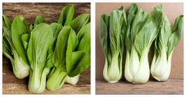 Chinese White Stem Pak Choi Bok Choy Chinese Cabbage 3000 Seeds - £13.29 GBP