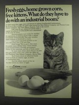 1967 Ohio Edison Company Ad - Fresh Eggs, Free Kittens - £14.55 GBP