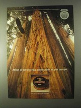 1999 Redwood Tobacco Ad - Far From the Mainstream - $18.49