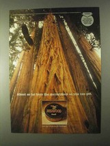 1999 Redwood Tobacco Ad - Far From the Mainstream - £13.79 GBP