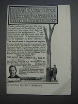 1913 Davey Tree Expert Ad - Examine Your Trees Now - £14.57 GBP