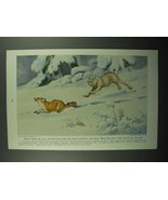 1943 Lynx Illustration by Walter A. Weber - £14.55 GBP