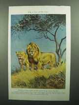 1943 Lion Illustration by Walter A. Weber, King of Cats - £14.65 GBP