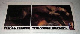 1992 Purina Hi Pro Dog Food Ad - Hunt &#39;Til You Drop - £14.61 GBP