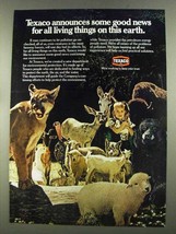1972 Texaco Oil Ad - Good News for All Living Things - £14.52 GBP