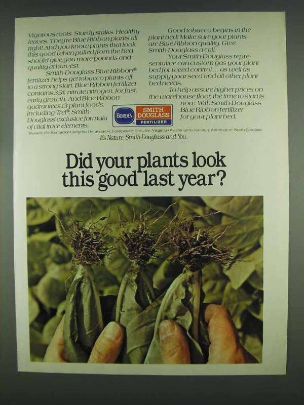 1978 Borden Smith Douglass Fertilizer Ad - Look Good - £14.53 GBP
