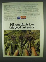 1978 Borden Smith Douglass Fertilizer Ad - Look Good - £14.45 GBP