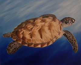 Original Oil Painting, Sea Turtle (24&quot; x 30&quot;) - £257.03 GBP