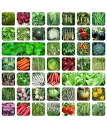 Natural &amp; Organic 45 Variety Of Vegetable Seeds With Instruction Manual - £9.67 GBP