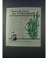 1981 Green Seed Company Ad - Tetra-Green - £14.78 GBP