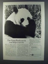 1981 WWF World Wildlife Fund Ad - Giant Panda - $18.49