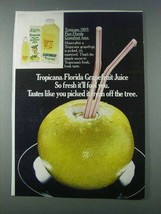 1981 Tropicana Grapefruit Juice Ad - It&#39;ll Fool You - £14.81 GBP