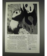 1982 WWF World Wildlife Fund Ad - The Panda - £14.78 GBP