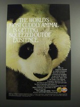 1983 Gulf Oil Ad - World's Most Cuddly Animal - £14.55 GBP