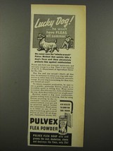 1940 Pulvex Flea Powder Ad - Lucky Dog! - £14.44 GBP