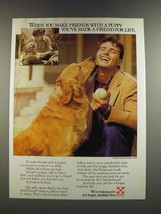 1986 Purina Dog Food Ad - Make Friends With a Puppy - £14.55 GBP