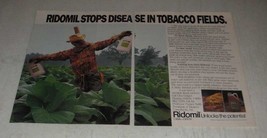 1987 Ciba-Geigy Ridomil Ad - Stops Disease in Tobacco Fields - £14.44 GBP