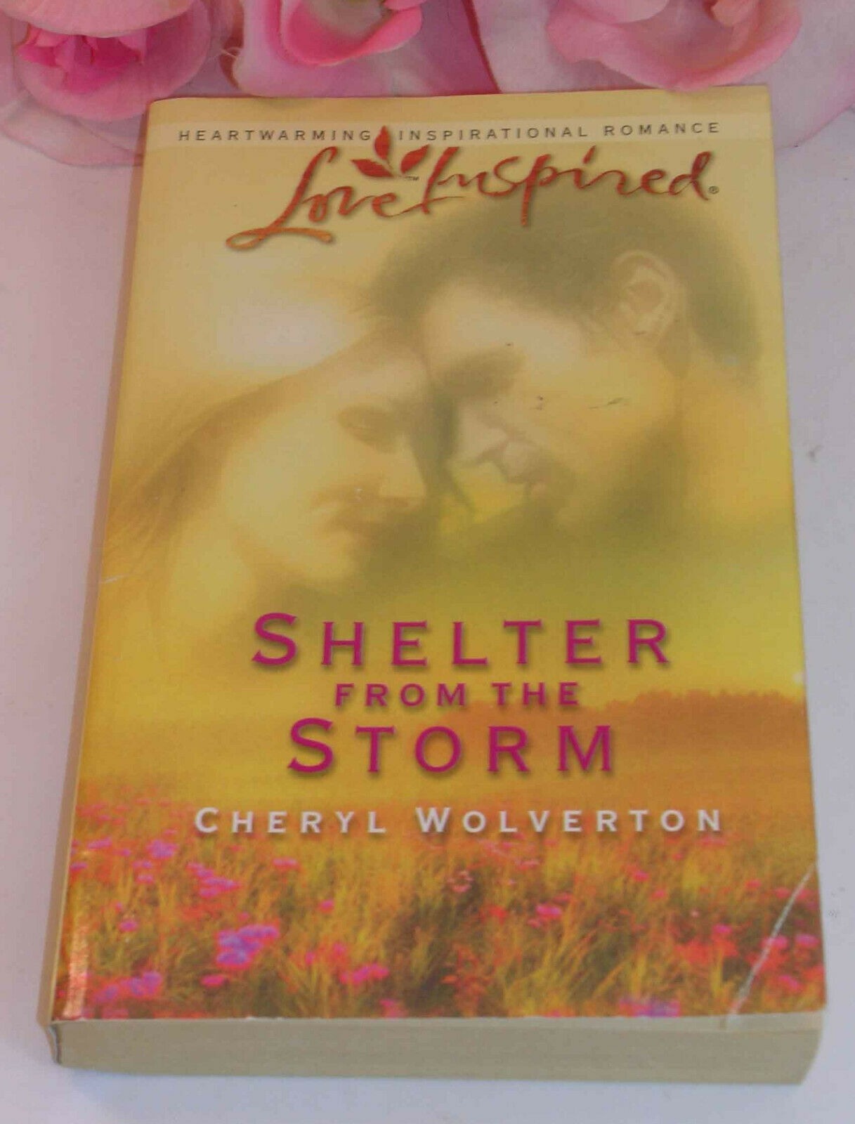 Shelter from the Storm A Novel By Cheryl Wolverton - $4.99