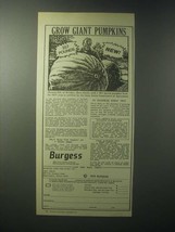 1979 Burgess Pumpkin Seeds Ad - Grow Giant Pumpkins - £14.54 GBP