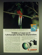 1985 Canon F-1 Camera and FD 300mm f/2.8L Lens Ad - Quetzal - £14.50 GBP