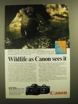 1988 Canon EOS 620 and 650 Cameras Ad - Guadalupe Fur Seal - £14.54 GBP