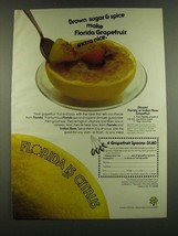 1983 State of Florida Department of Citrus Ad - Brown sugar &amp; spice - $18.49
