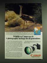 1984 Canon F-1 Camera and FD 300mm f/2.8L Lens Ad - Great Indian Bustard - £13.82 GBP