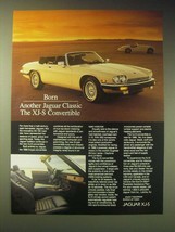 1989 Jaguar XJ-S Convertible Ad - Born another Jaguar Classic - £14.45 GBP