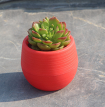 Mini Round Plastic Plants for Garden Home Office Decoration - £1.75 GBP